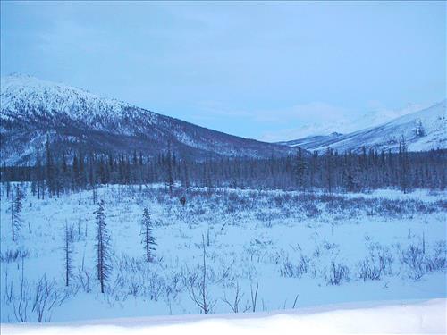 1 Gates of the Arctic National Park and Preserve Hares Survey 2004