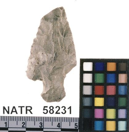 NATR   58231 -- Untyped projectile point