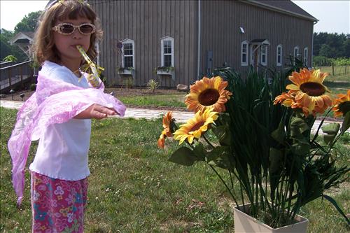 Junior Ranger, Butterfly's Breakfast, Activities