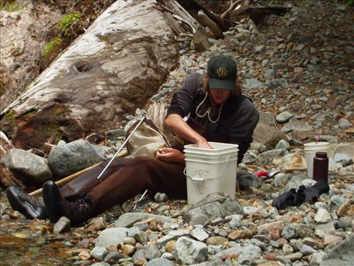 Freshwater Mollusk Sampling, Mount Rainier National Park