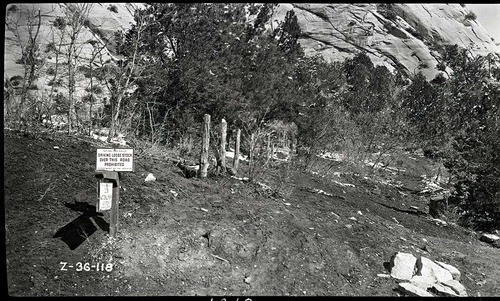 Fence line near East Entrance Checking Station.