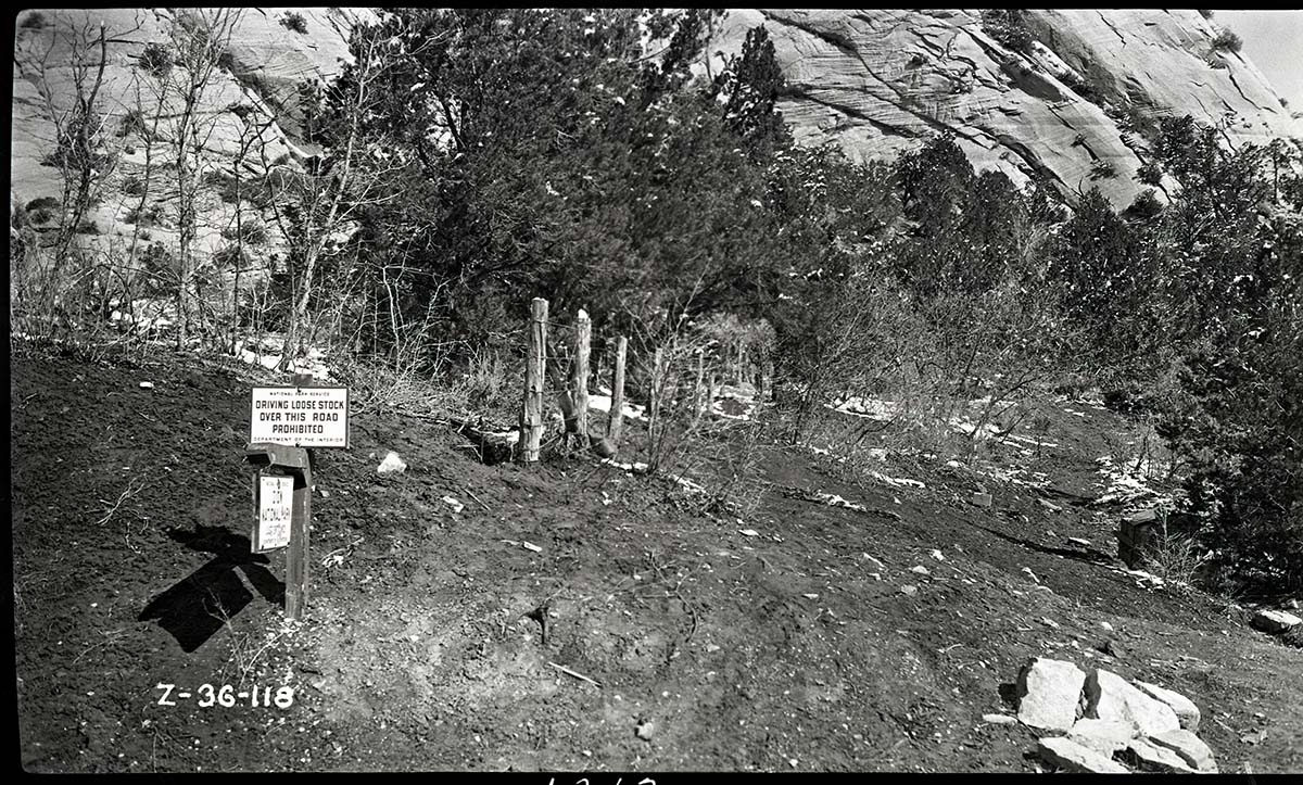 Fence line near East Entrance Checking Station.