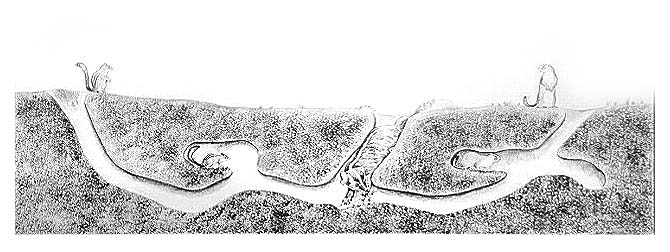 A badger digging a burrow (shown as cutaway) looking for food while a Least chipmunk (left) and Richardson's ground squirrel (right) are shown outside of burrow openings.