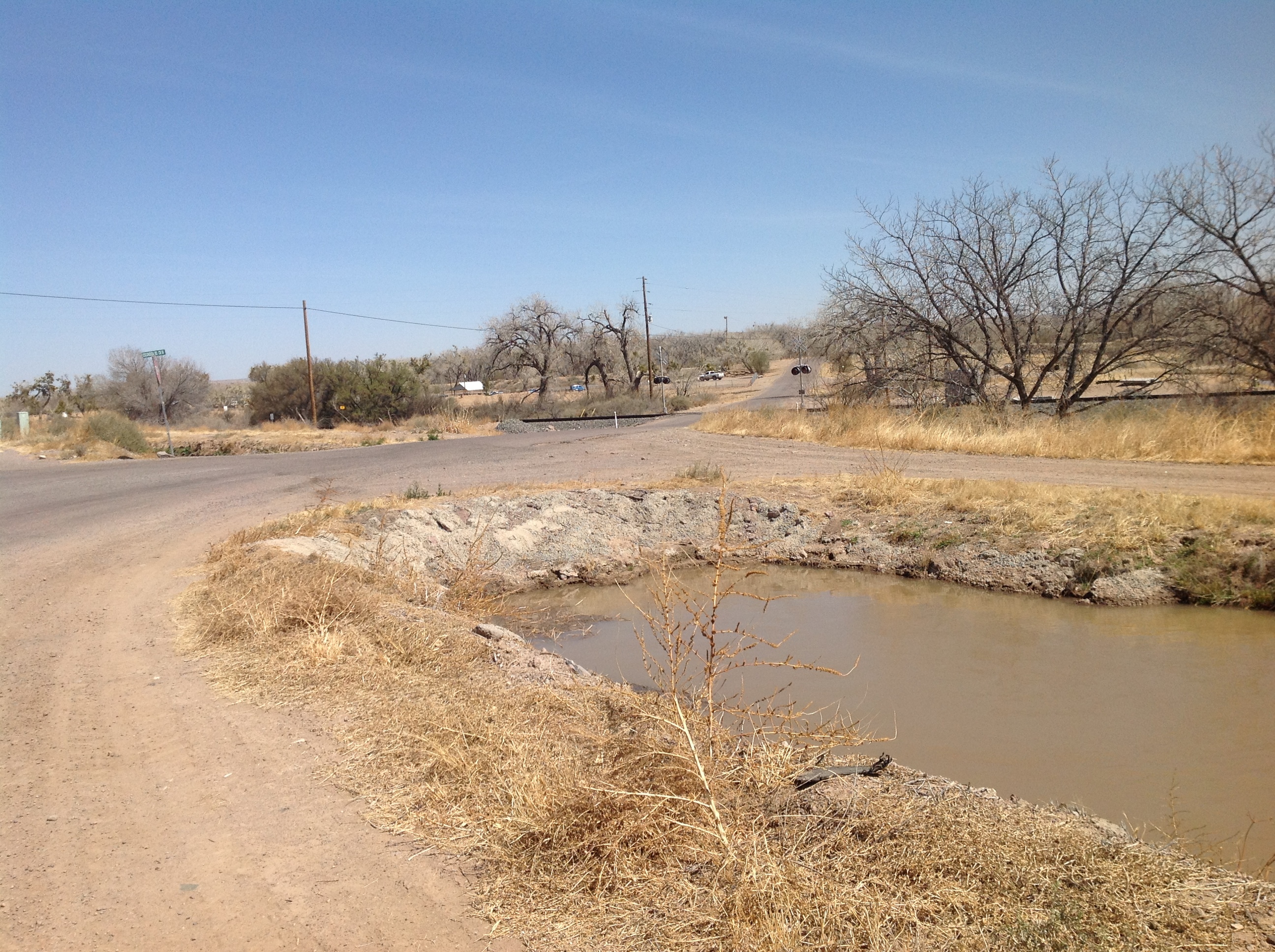 A small pond next to a dirt road.