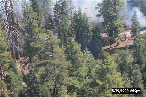 Eleanor Wildland Fire, August-September 1999, Yosemite National Park