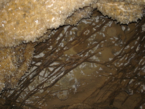 Boxwork and calcite crystal