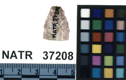 NATR   37208 -- Untyped projectile point