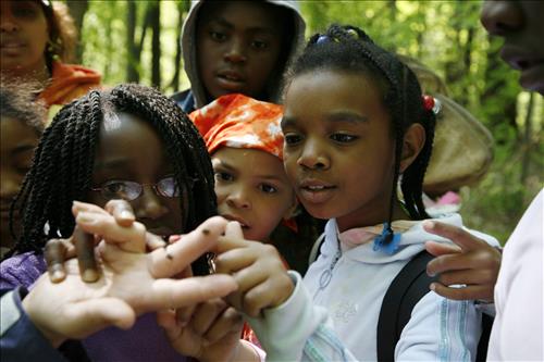 CVEEC Girl Scouts forest exploration