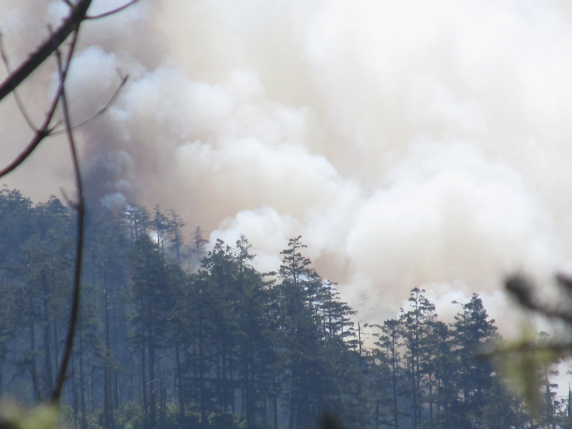 A slender but dark column of smoke rises on the left in front of a dense wall of smoke rising from a forested ridge.