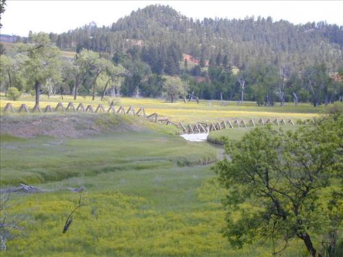 2006-2010 Meadow Restoration