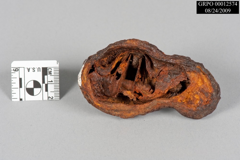 Deteriorated gooseneck cock within a concretion of rust