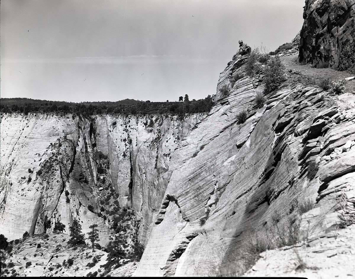 Visitor fatality off East Rim Trail.