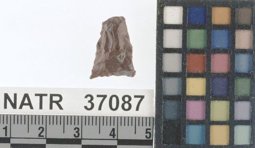 NATR   37087 -- Late Woodland / Miss Triangular Cluster projectile point