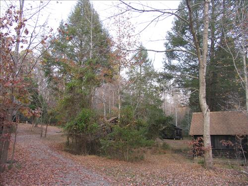 PRWI Cabin Camp 2 Unit B Hemlock 1