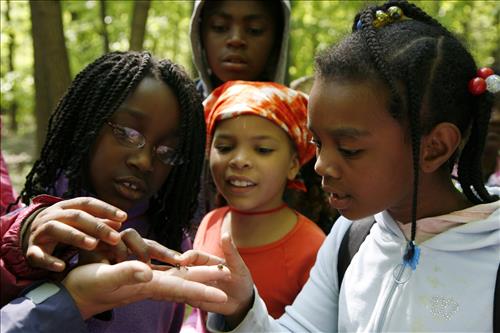 CVEEC Girl Scouts forest exploration