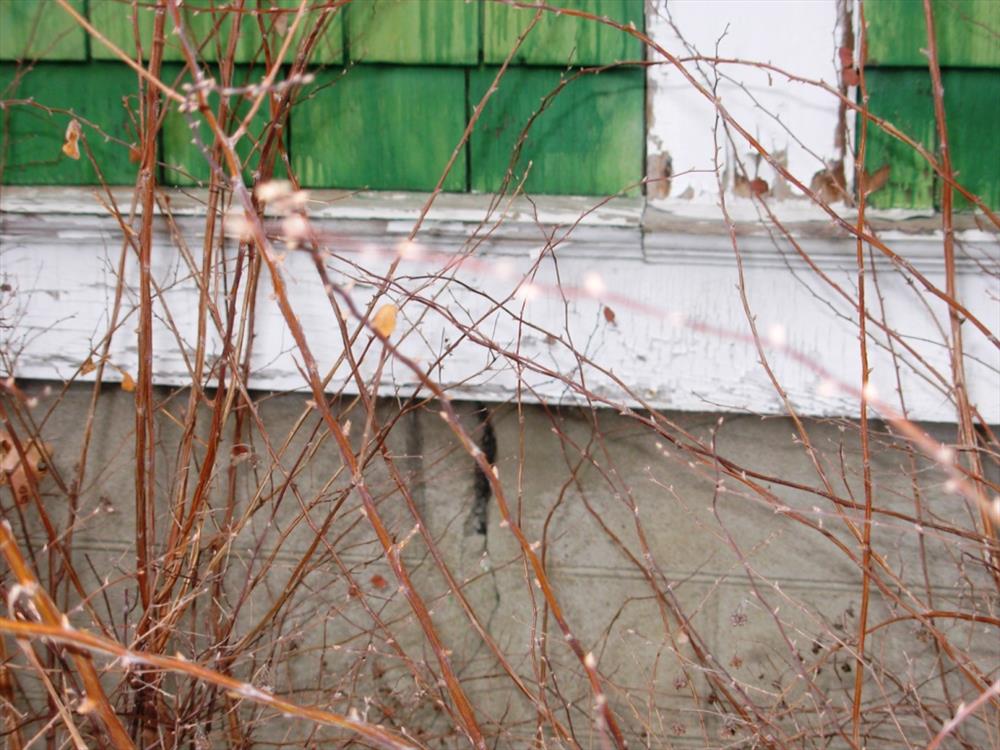 George Wallace House Foundation and Front Porch Cracks Harry S Truman NHS. These photos were taken to use as part of a PMIS request for funds to have the foundation and front porch replaced. 