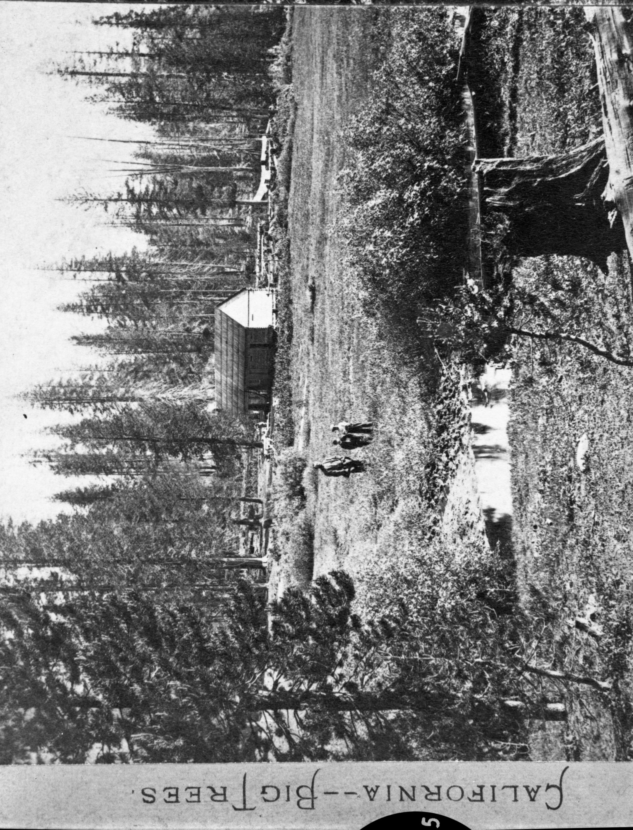 Detail of L. Smaus stereo (RL-16,506). Peregoy's Moutain House. Captioned: "No. 1298. Twelve Mile House, on the Trail to Yosemite Valley." copied by Michael Dixon, copied July 1985