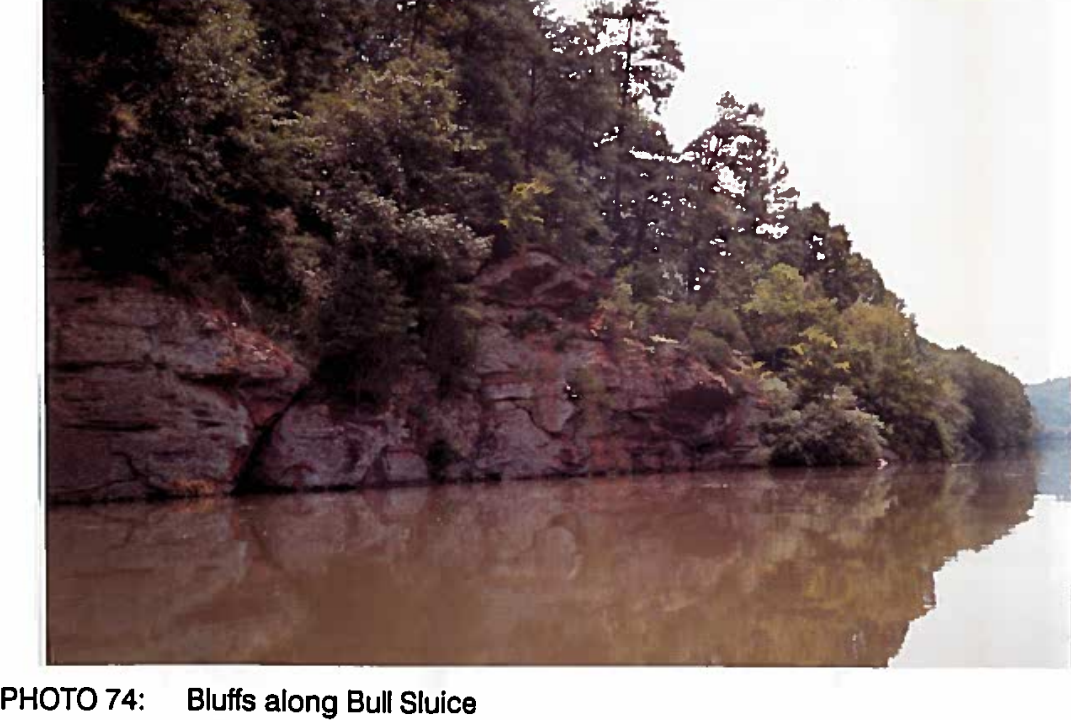 Fulton Co. bluffs along Bull Sluice