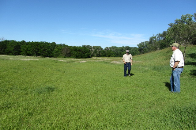 Two person standing in a grassy field.