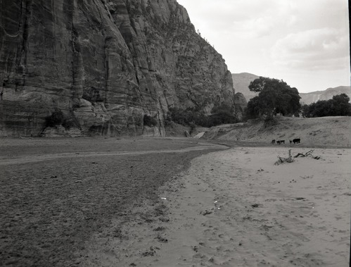 Irrigation in Hop Valley; improper land use, overgrazing to refute water diversion rights claim under grazing permit.