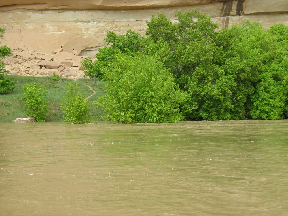 Mathers Hole at 22,000 cfs