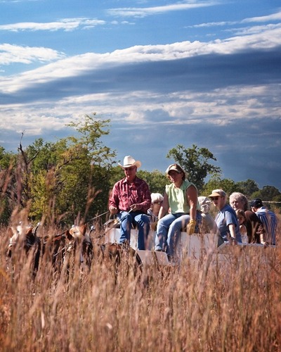 Park visitors sitting on a horse-drawn wagon riding through the park prairie. 