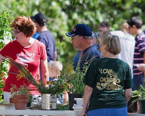 Several visitors looking at green potted plants at Carver Day. 