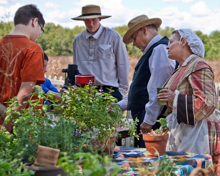 Park volunteers dressed in period clothing with several green plants on a table. 