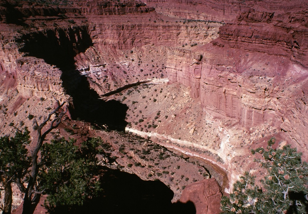 Looking down into a canyon where a creek flows at the bottom