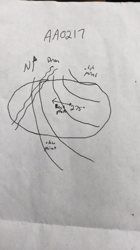 GRSM Accuracy Assessment. Plot Code: GRSM_AA_0217_map