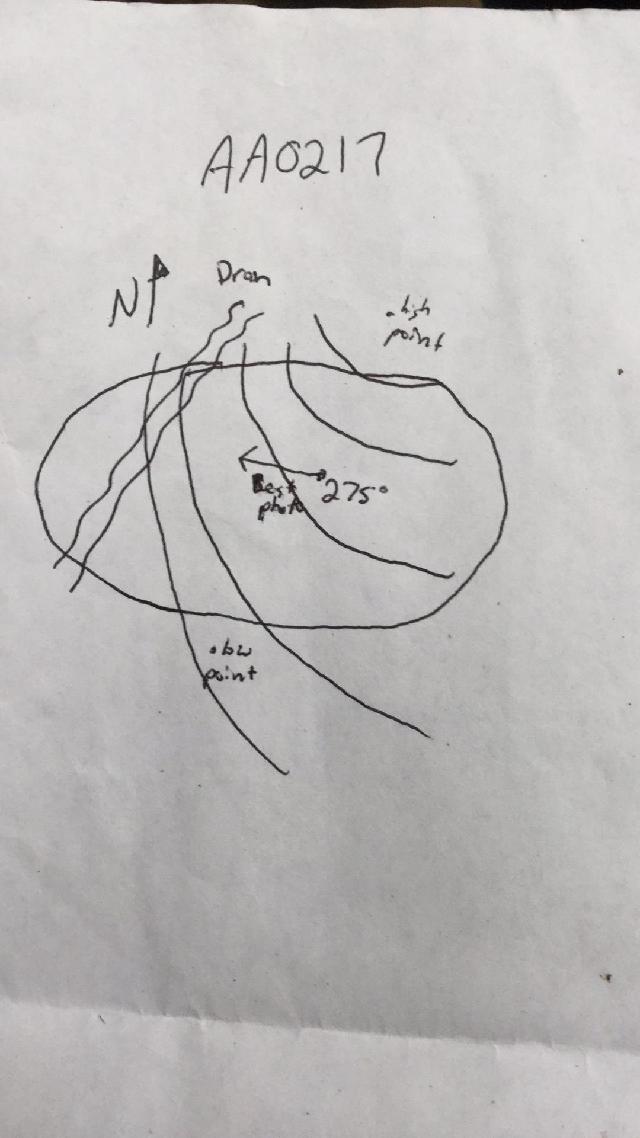 GRSM Accuracy Assessment. Plot Code: GRSM_AA_0217_map