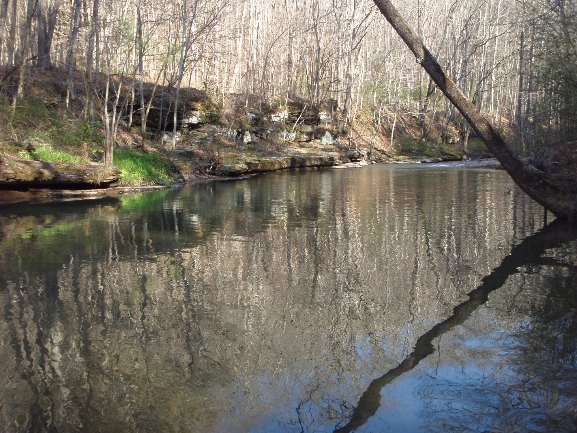Site visit photo showing the upstream (UP) or downstream (DN) view of a wadeable stream reach taken during benthic macroinvertebrate monitoring at Bluestone National Scenic River.