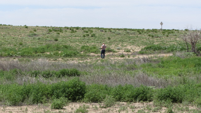 A man walking in a field with a lot of grass and plants.