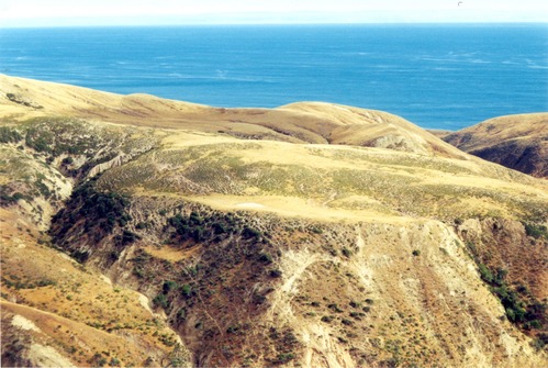 East of Acapulco Canyon