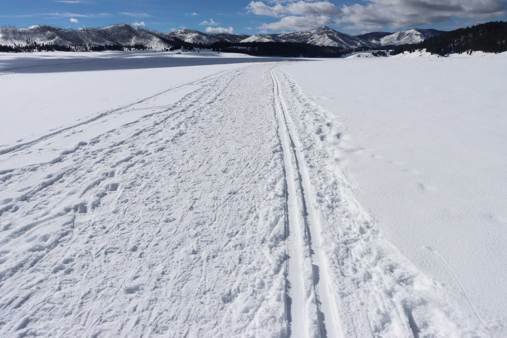 Ski tracks and snowshoe tracks in the snow.