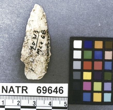 NATR   69646 -- Untyped projectile point