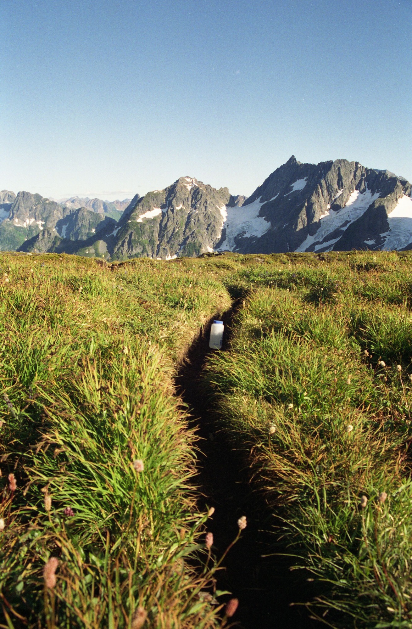 A deep trail with a water bottle on it through a grassy meadow. In the distance are mountain peaks.