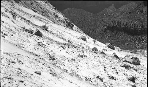 Base of talus from rock slide in Birch Creek Canyon.