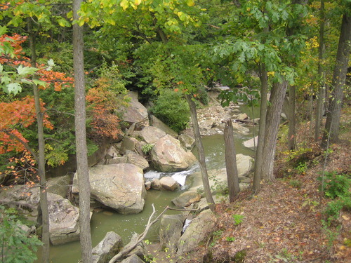Photograph of large blocks of Berea Sandstone within the channel of Chippewa Creek. Trees surround the creek.