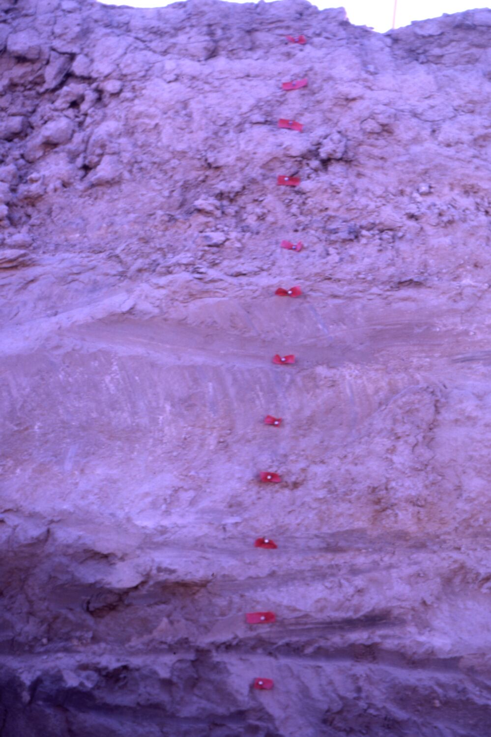 Image of cutouts in gravel rock marked as steps