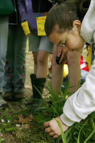 CVEEC Girl Scouts forest exploration