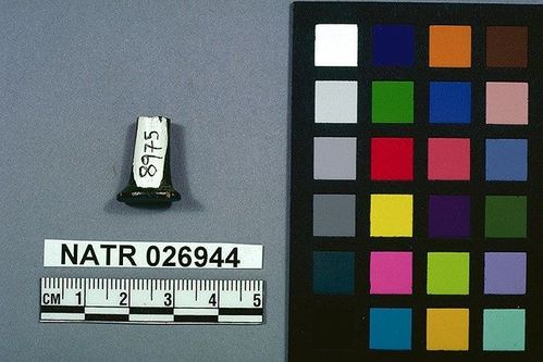 NATR   26944 -- Unidentified