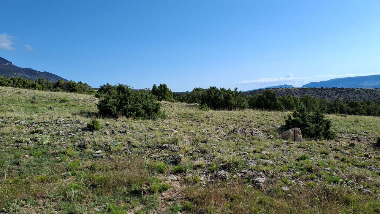 Image of the vegetation and landscape at photo point in Bighorn Canyon NRA