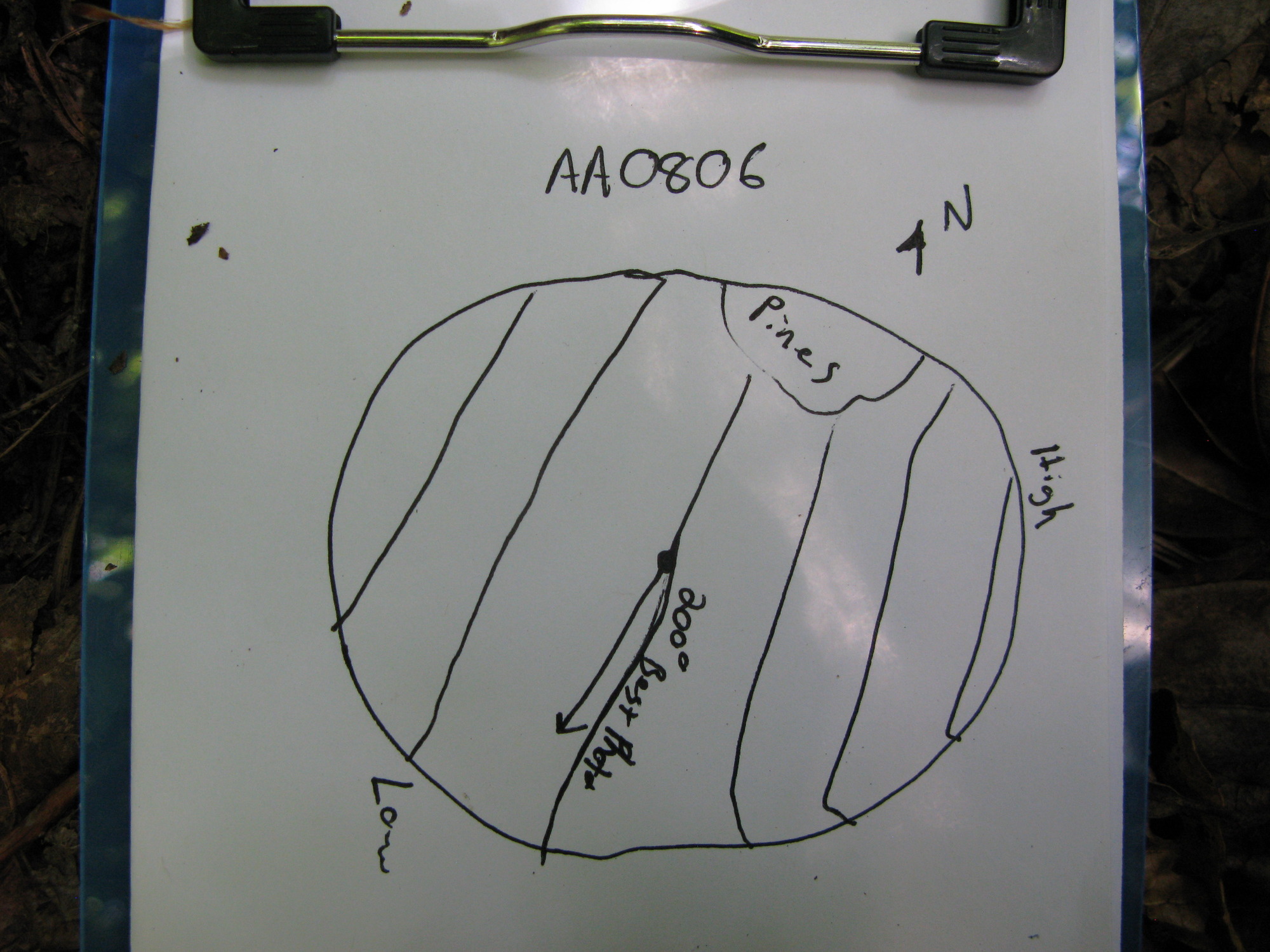 GRSM Accuracy Assessment. Plot Code: GRSM_AA_0806_7