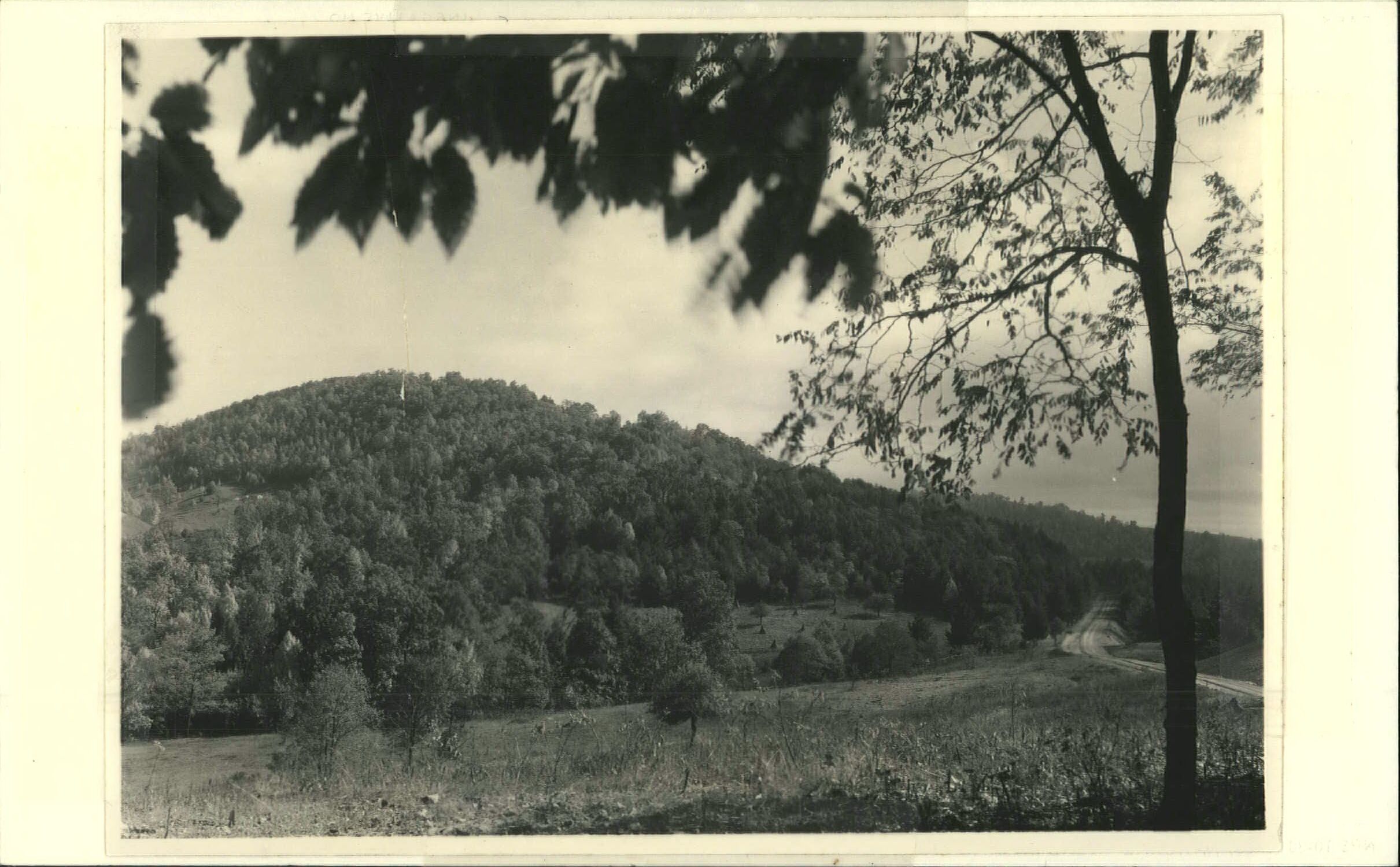 View of Rattlesnake Mountain looking north