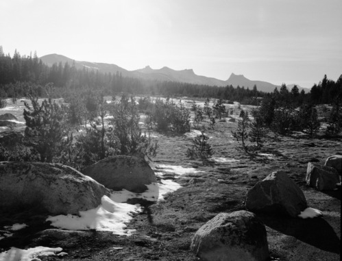 Tioga Road below Dana Meadows; to serve as basis for line drawing