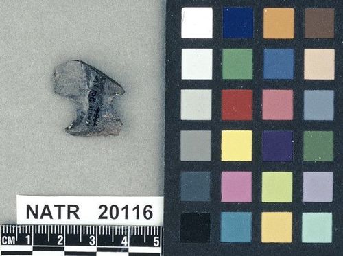 NATR   20116 -- Untyped projectile point