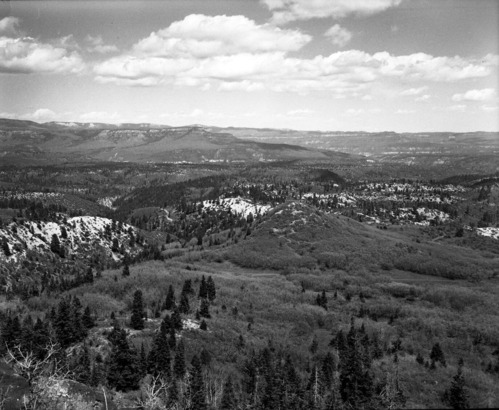 A plateau forest and into canyons. Exhibit 19.