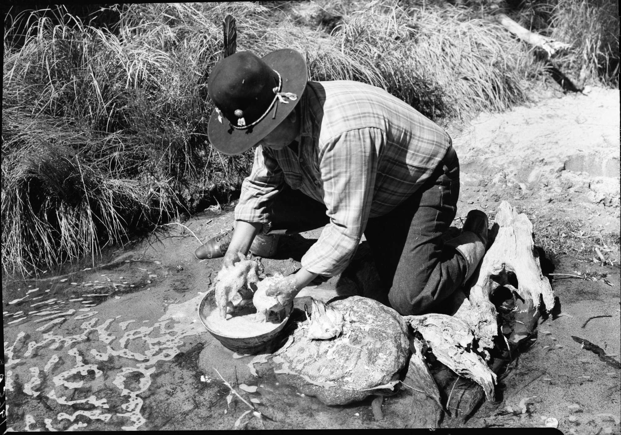 Fish-poisoning experiment. Chris Brown mixing soaproot in water & scooping up dead trout. Yosemite Creek. See Nature Notes, February 1951.