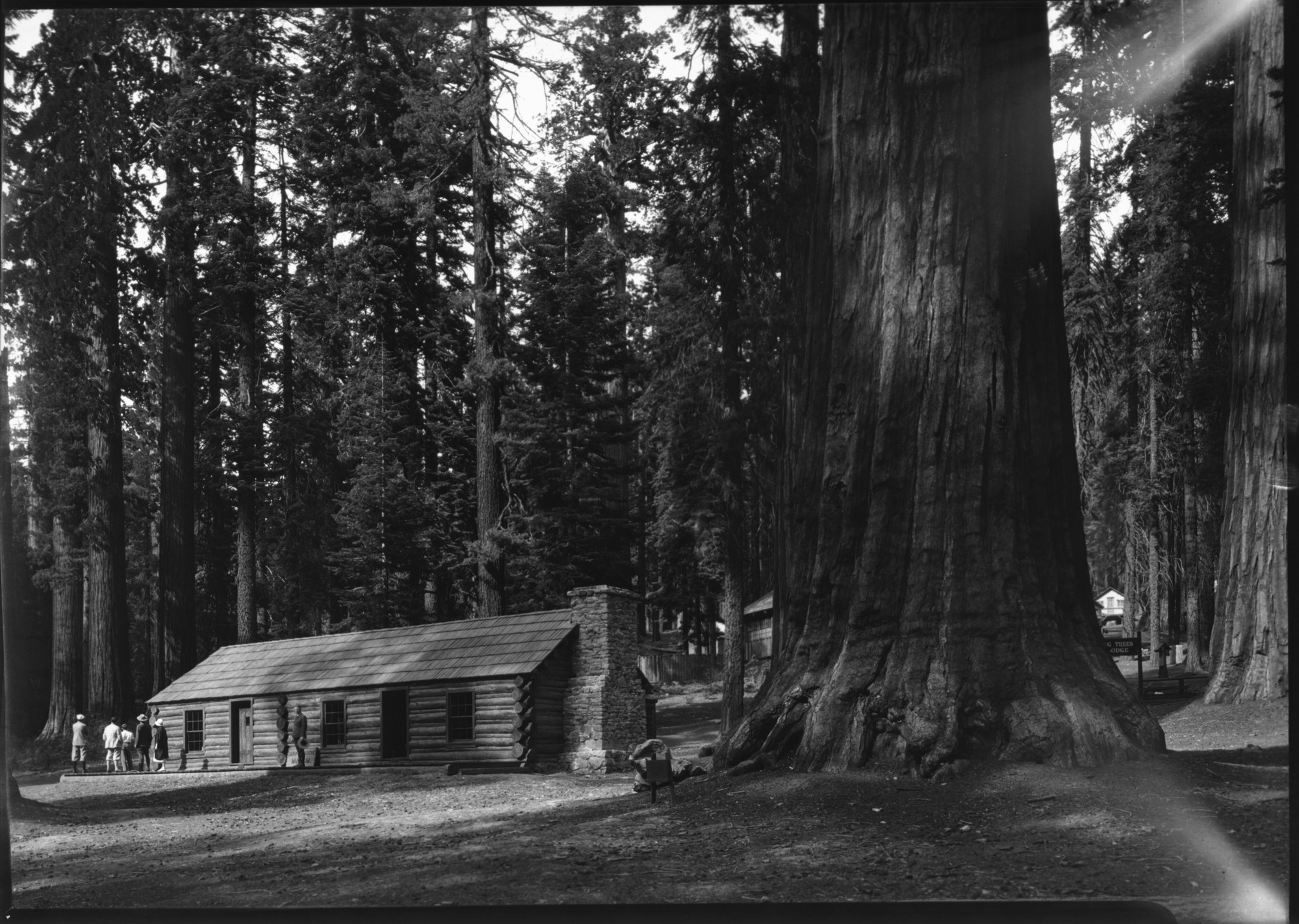 Mariposa Grove Museum